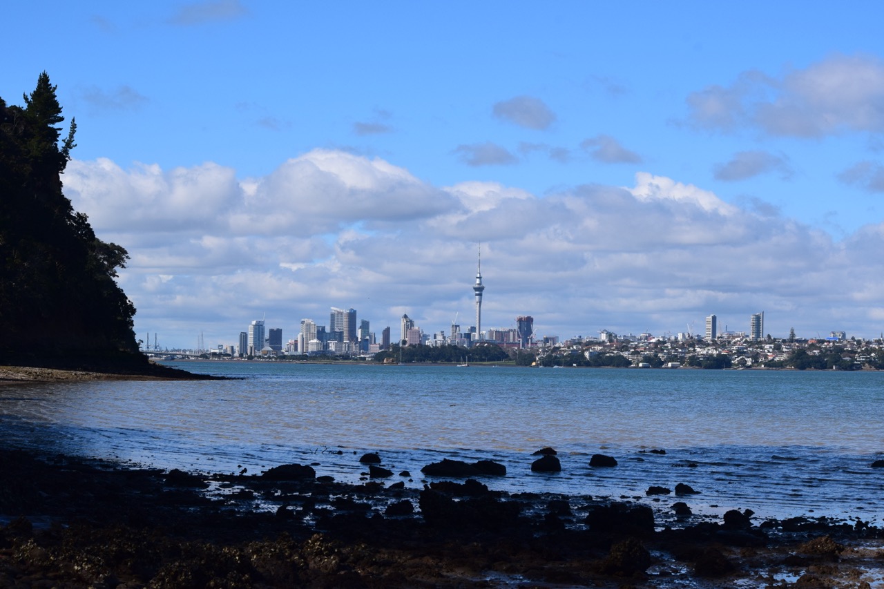 Kauri Point Centennial Park 